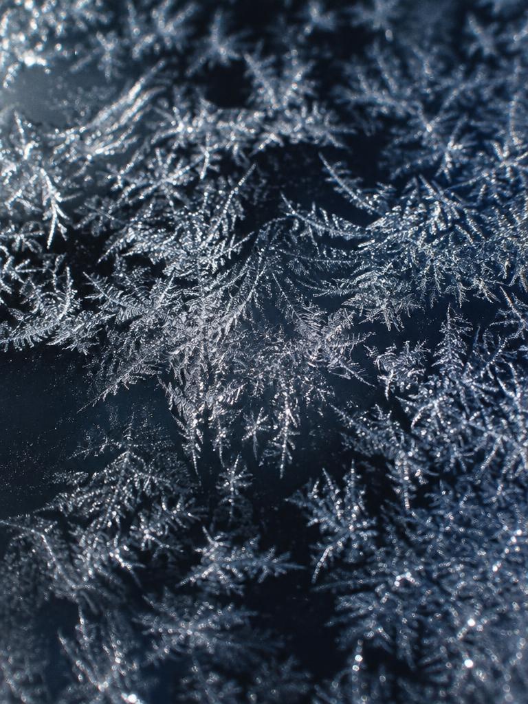 Delicate frost crystals